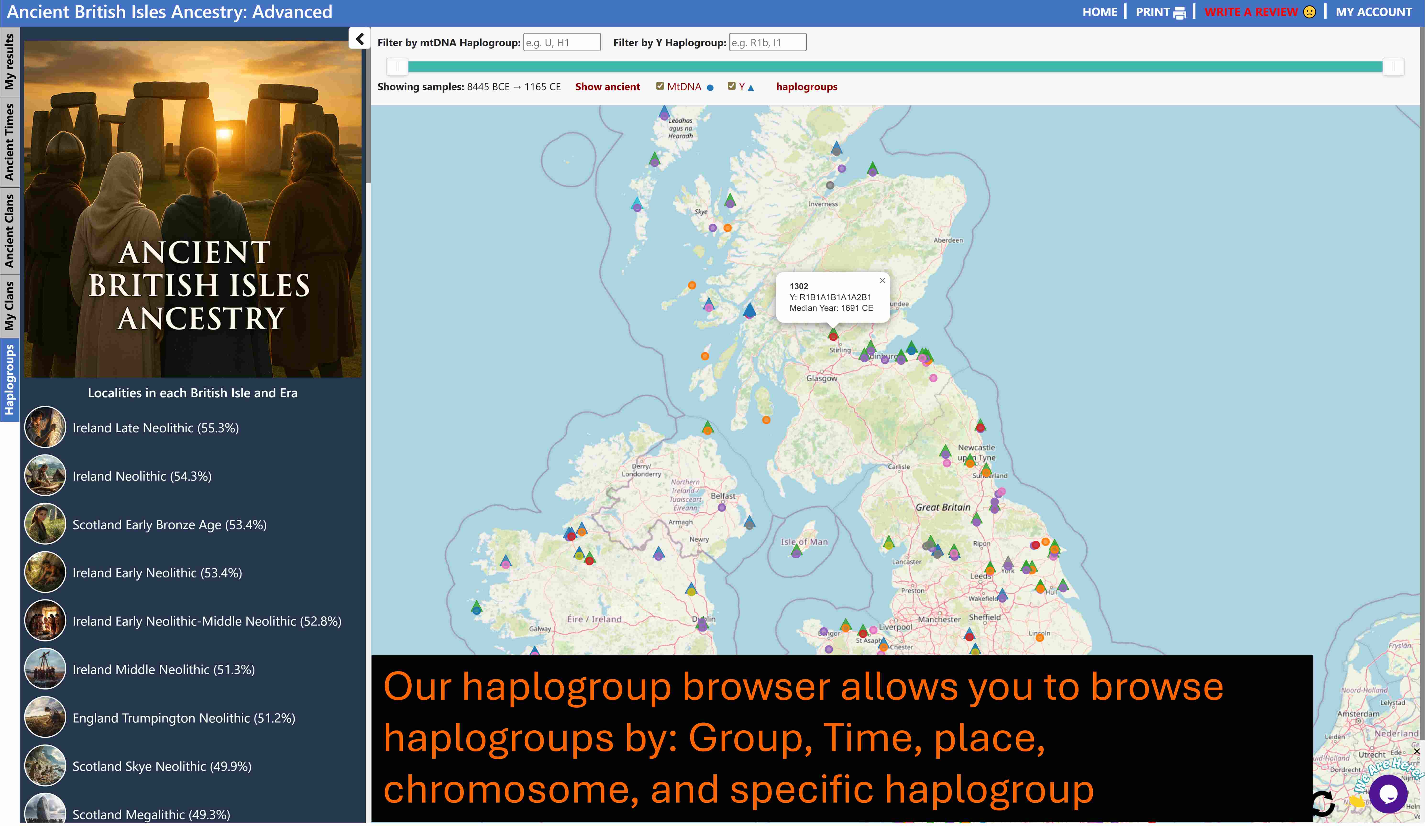 Haplogroups browser